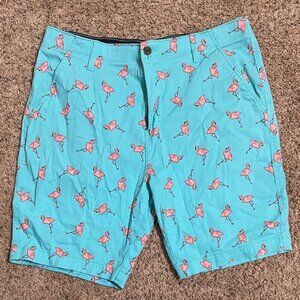 Plugg Teal Flamingo Print Shorts